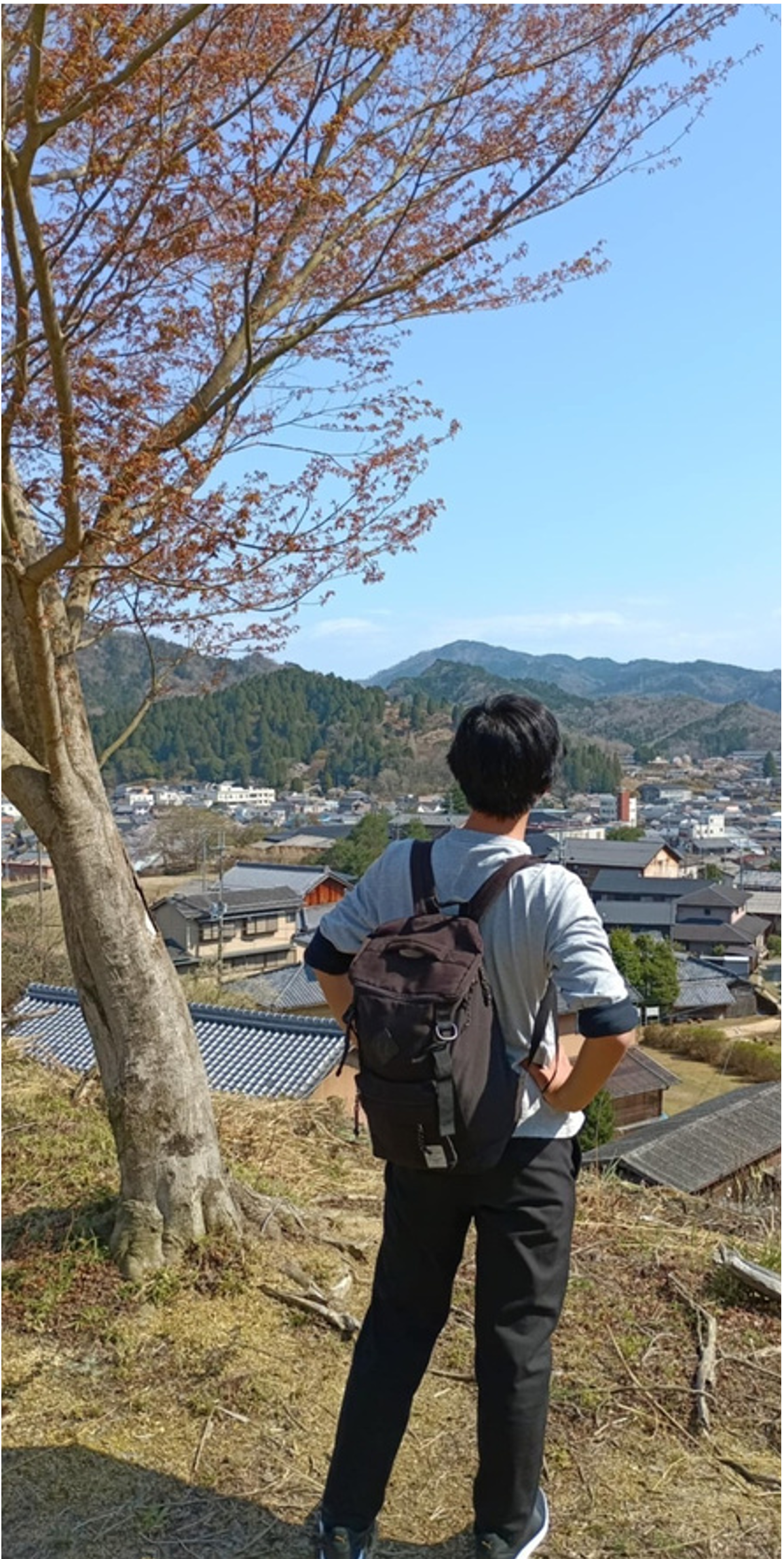 魅力3の画像