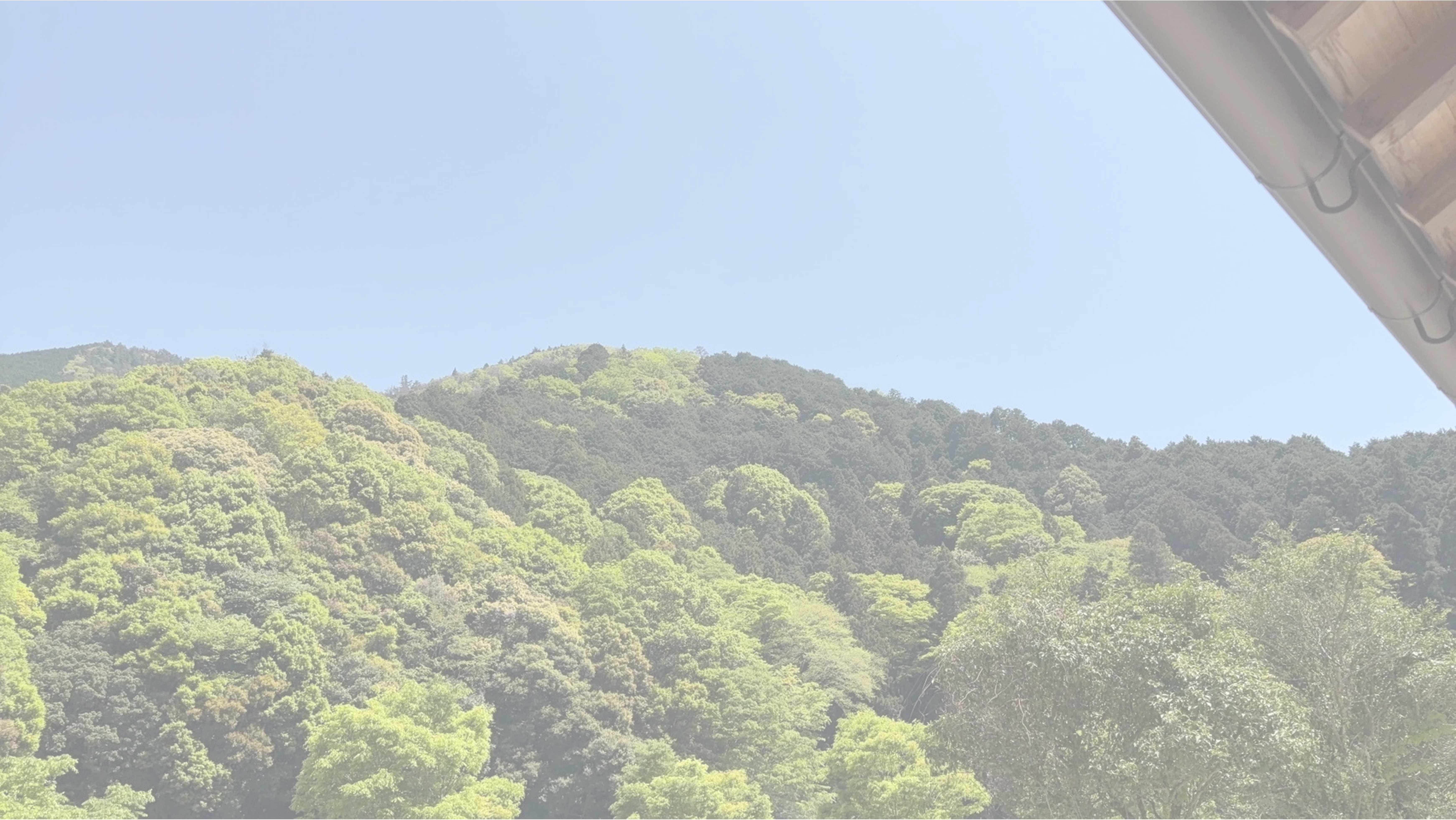 プロダクトセクションの背景画像
